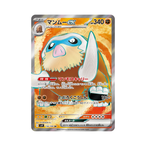 Pokemon Cards - 2025-11-05T082140.427.png
