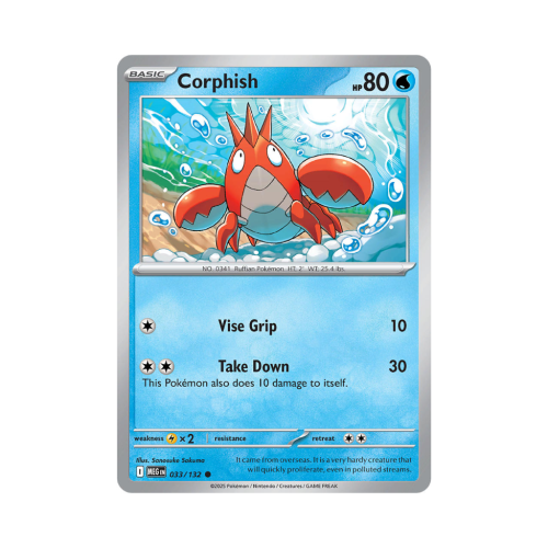 Pokemon Cards - 2025-12-04T094024.478.png