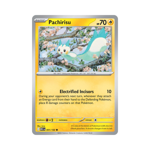Pokemon Cards - 2025-12-04T100423.444.png