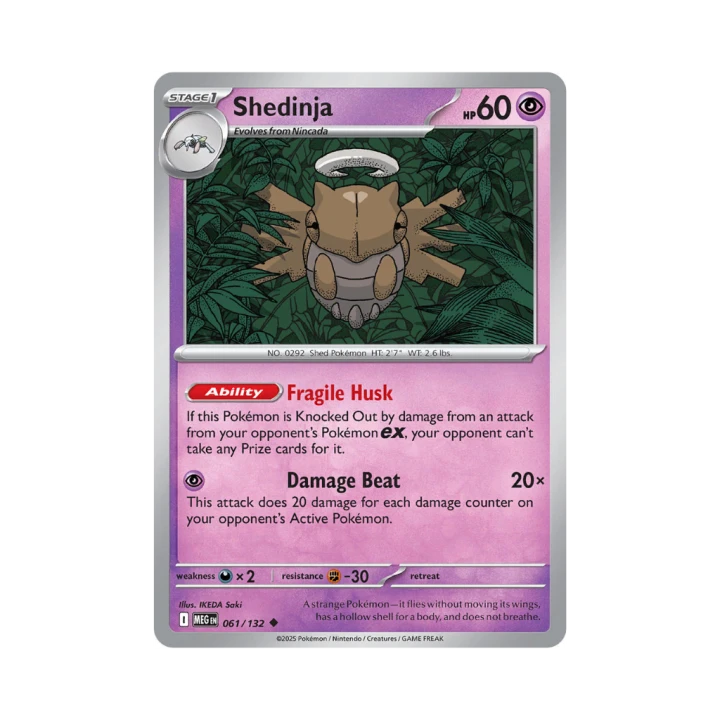 Pokemon Cards - 2025-12-04T104604.454.png