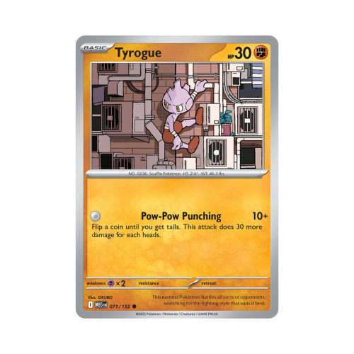 Pokemon Cards - 2025-12-04T142819.509.png