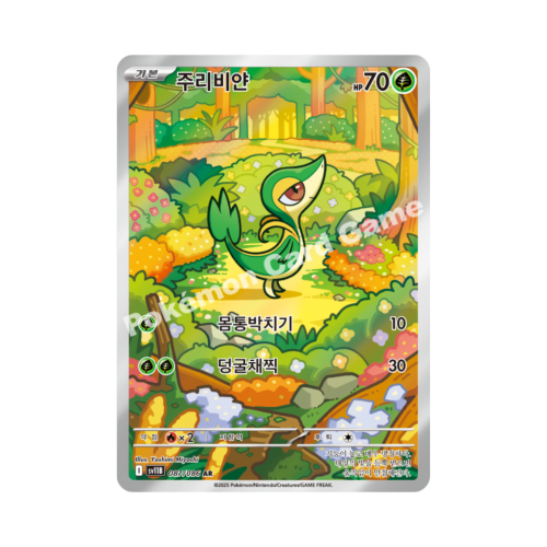 Pokemon Cards (25).png