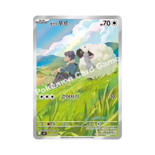 Pokemon Cards (44).png