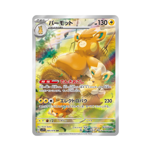 Pokemon Cards (80).png