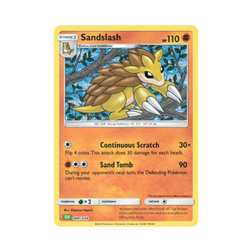Pokemon Cards (16).png