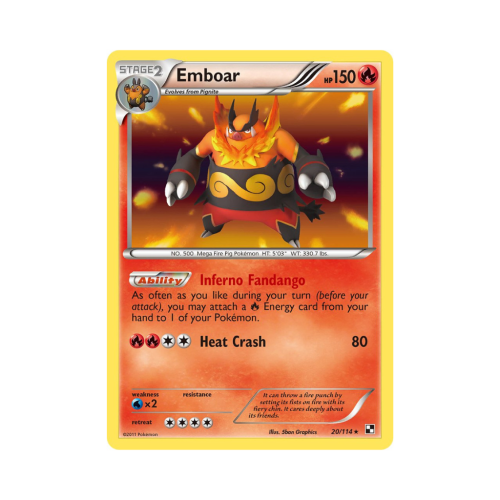 Pokemon Cards (14).png
