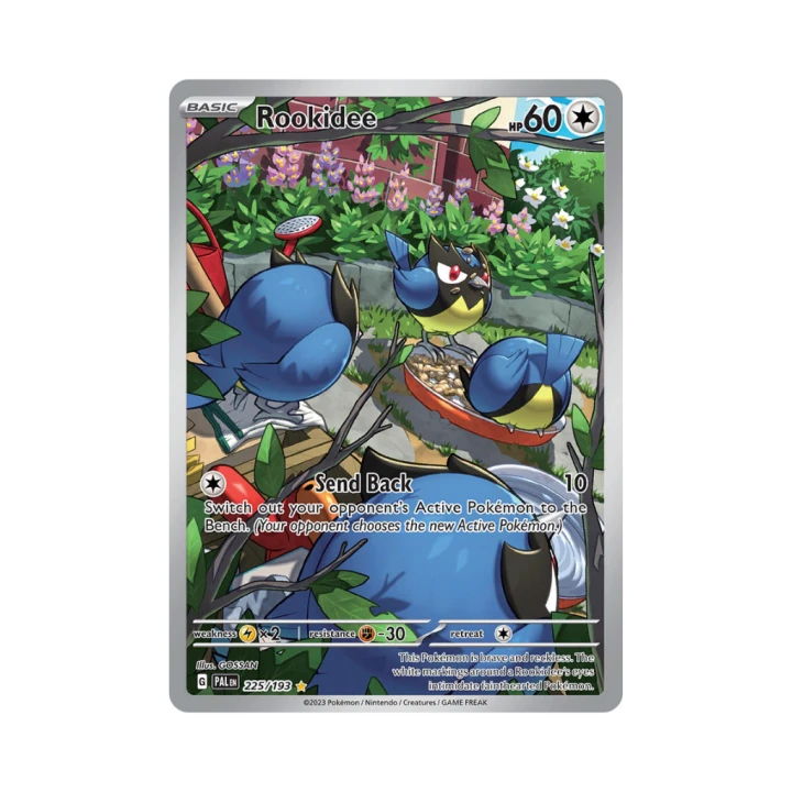 Pokemon Cards (74).png