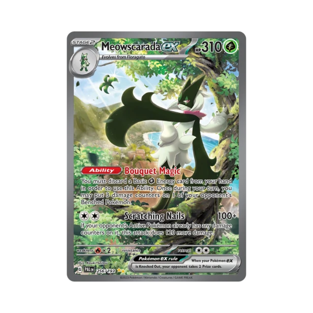 Pokemon Cards (75).png