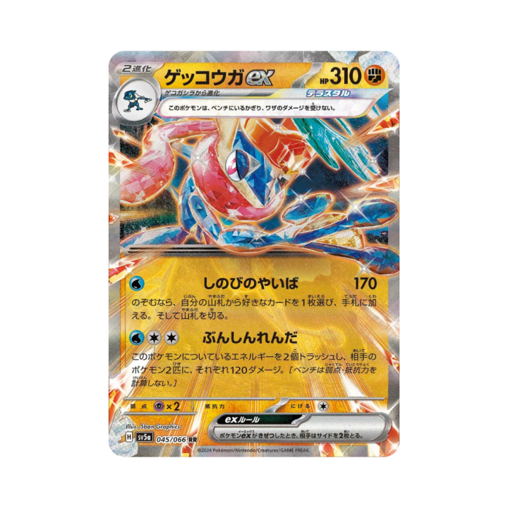 Pokemon Cards (66).png